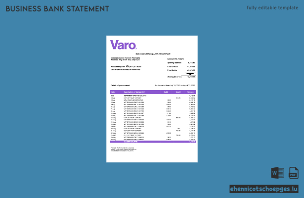 USA Kalifornien Varo Organisation Kontoauszug Word- und PDF-Beispielvorschau
